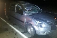 В ДТП с лосем на трассе Екатеринбург-Реж-Алапаевск пострадали три человека