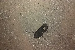 В Свердловской области объявлен в розыск водитель, который насмерть сбил пешехода и скрылся