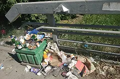 Берег Исети на Уктусе зарастает мусором из заброшенных урн