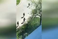 Губернатор: При атаке украинской ДРГ на Белгородчину мирный житель был убит выстрелом в голову