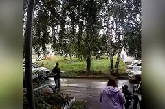 В Екатеринбурге автохам напал на женщину с ребёнком