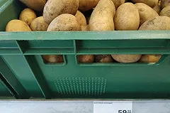 «Через год будет еще хуже». Одной из причин подорожавших овощей назвали нехватку рабочих рук