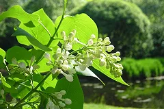 В Екатеринбурге к ЧМ-2018 появится новый парк