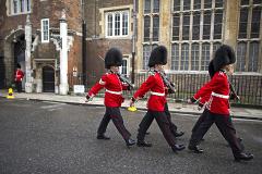 Королевский гвардеец в Лондоне припугнул туриста винтовкой