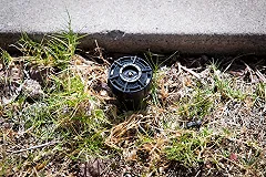 Беверли-Хиллз оштрафован за расточительное отношение к воде