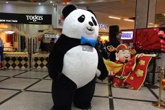 В китайский Новый год панда будет исполнять желания екатеринбуржцев