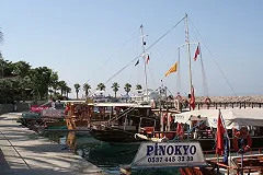 В Турции туриста из России сбросили с крыши