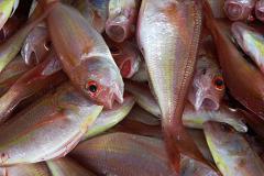 Поставщики обвинили торговые сети в накрутке на 100% цены на рыбу