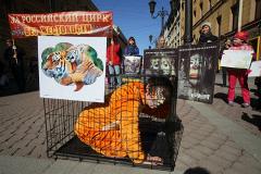 Россия присоединится к международной акции «За цирк без животных!»