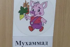 В сети удивились румяному поросенку на шкафчике мальчика Мухаммада