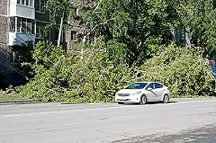 Мэрия Екатеринбурга переложила ответственность за последствия бури на горожан