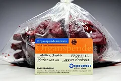 «Известия»: водителям предлагают заранее соглашаться на донорство органов