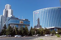 Сына депутата Гаффнера поймали за новым «развлечением»