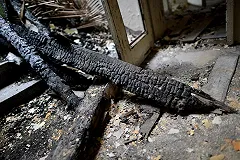 Под Тверью 15-летний подросток зверски убил пенсионера ради трех тысяч рублей