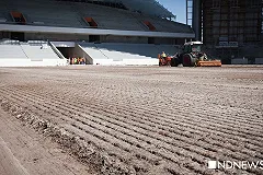 На Центральном стадионе рассыпали 400 кг голландской травы