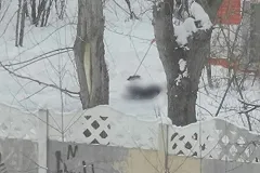 В Екатеринбурге в детском саду во время работы умер дворник