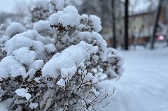 Морозы до -30 градусов возвращаются в Свердловскую область