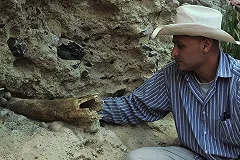 Ученые рассказали о роли мамонтов в хозяйстве древних людей