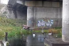 В Нижнем Новгороде старушка «утилизирует» мусор в Оке