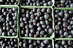 Минсельхоз назвал рекордным прошлогодний урожай плодов и ягод в России