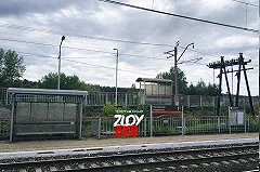 Установлена личность женщины, найденной в Екатеринбурге зарезанной