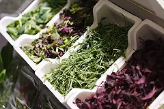 Вместо салата, петрушки и тмина в свердловских магазинах продают сорняки