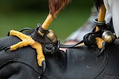 В Свердловской области охоту превратят в туриндустрию с господдержкой