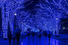 Художественная подсветка украсит телебашни в городах-организаторах ЧМ-2018