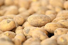 Продукты питания в РФ в январе-мае дорожали почти в 2 раза быстрее, чем в ЕС