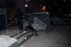 В Екатеринбурге налетчики похитили из автосалона около 50 млн рублей