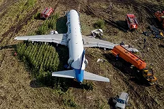 Страховщики назвали размер выплаты за посадку Airbus на кукурузном поле