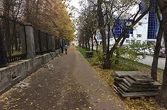 В дендрарии на 8 Марта начали ремонт ограды