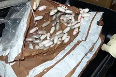 Дело обвиняемой во ввозе наркотиков во Вьетнам россиянки вернули на доследование