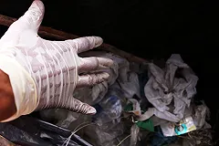 Мерзлякова попросила полицию вмешаться в ситуацию с правами сотрудников клининга