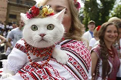 В День вышиванки Верховная рада Украины переименовала Днепропетровск