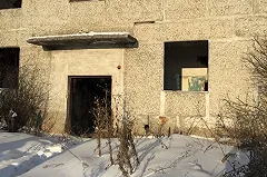 Зверское убийство женщины раскрыто в Талицком районе