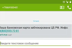Мошенники обчистили сразу двух профессоров УрФУ, оба обслуживаются в одном банке