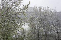 До -10 градусов: в Свердловской области вновь ожидается похолодание