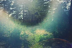 На следующей неделе в Свердловскую область придёт потепление