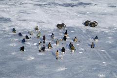 В Ленинградской области спасли около 80 рыбаков с ледового поля