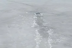 В Москве в карете скорой помощи скончалась женщина, провалившаяся под лед пруда