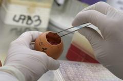 Уральскую вакцину против лихорадки Эбола в ближайшем времени начнут тестировать