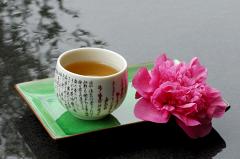 Чай оптимизирует структуру мозга