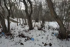 Сжигание мусора решили официально приравнять к переработке отходов