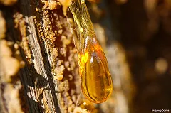 В Екатеринбург придут жара и дожди: прогноз погоды на 6-10 июля