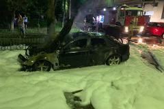 У Дмитрия Чукреева после рейда по точкам общепита сожгли автомобиль