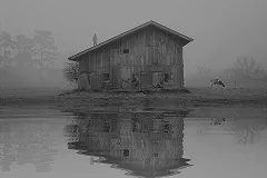 На Урале задержали семью, которая насиловала детей