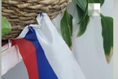 В Волгограде жильцы дома поссорились из-за флагов России в подьезде