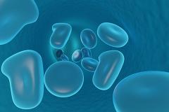 Против коронавируса может помочь искусственная голубая кровь