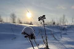 Об аномальных морозах официально объявили синоптики в Свердловской области